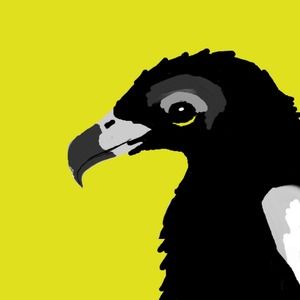 Meet your Posher, Aliza